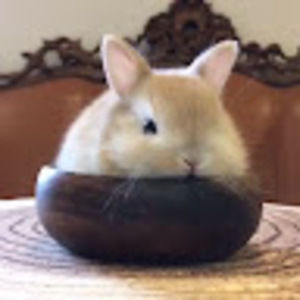 Meet your Posher, Keisha adeng